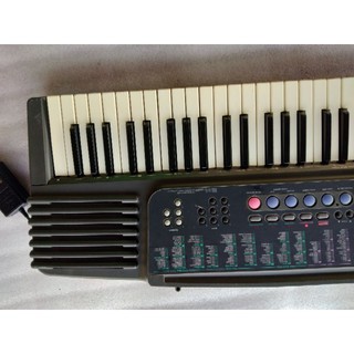 đàn ca sio ctk 500