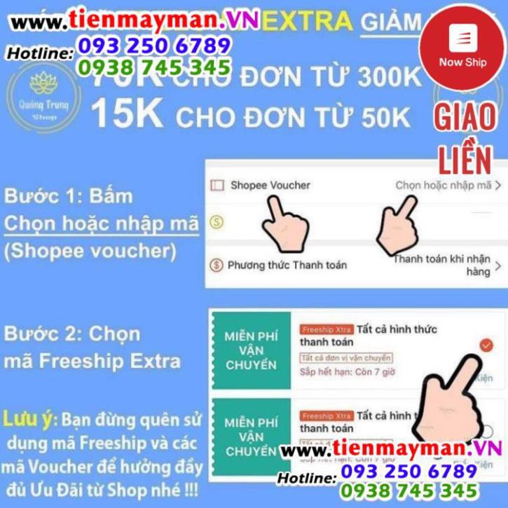 Đồng Tiền Hoa Mai ⭐FREESHIP⭐ Kim Tiền Tài Lộc | BigBuy360 - bigbuy360.vn