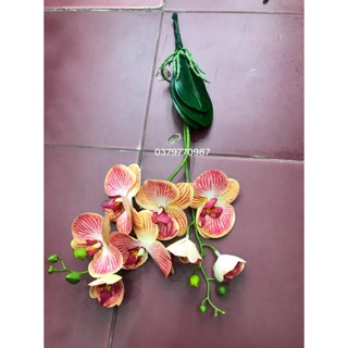 Hoa giả - Hoa lan hồ điệp cao su 2 nhánh kèm gốc lá lan