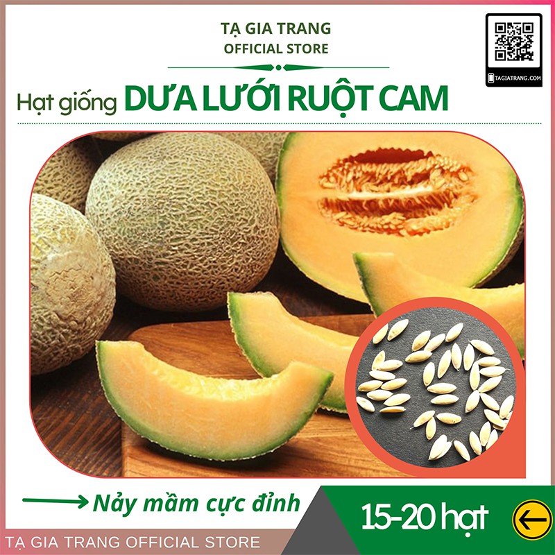 Hạt giống dưa lưới trắng ruột cam Nhật Bản