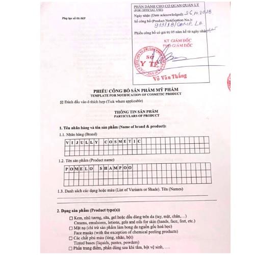 Bộ Đôi Dầu Gội Xả Bưởi, Dầu Gội XảTóc Vijully - Ngăn Ngừa Rụng, Hỗ Trợ Rụng Tóc, Phục Hồi Tóc Khô Xơ Và Hư Tổn | BigBuy360 - bigbuy360.vn