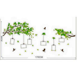 Decal dán tường cành cây khung ảnh