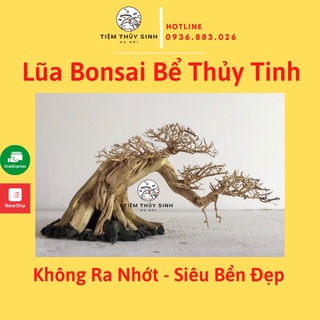 Lũa bonsai cho bể cá thuỷ sinh, bonsai lũa suối,  Lũa Bonsai Thủy Sinh, layout bonsai bể cá cảnh, cây trang trí bể cá