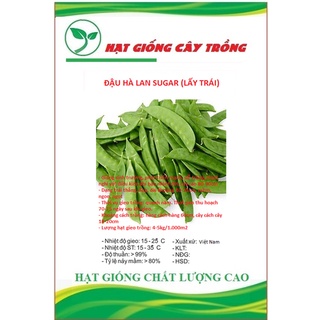 Hạt giống đậu hà lan ct153 - gói 20gram