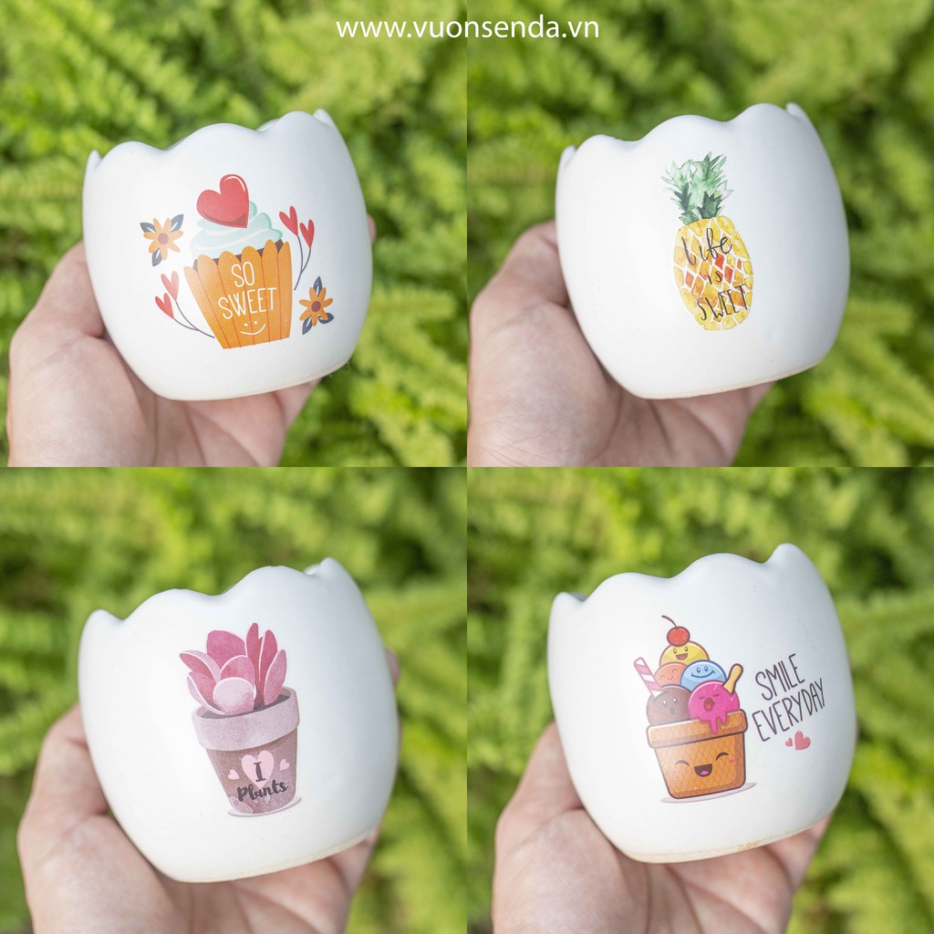 Chậu sứ hình trứng mini 7.5x8cm - In hình
