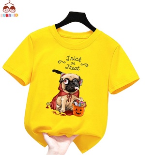 giá sỉ  Áo thun trẻ em hình dog giỏ quà  Bé trai và gái.áo cho bé từ