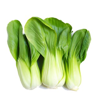 Hạt Giống Cải Bẹ Trắng nhãn Tâm Nông