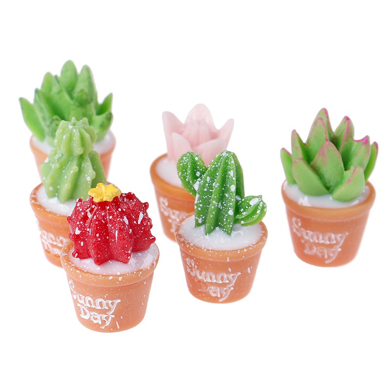 Bộ 5 Chậu Cây Xương Rồng Mini Trang Trí Độc Đáo