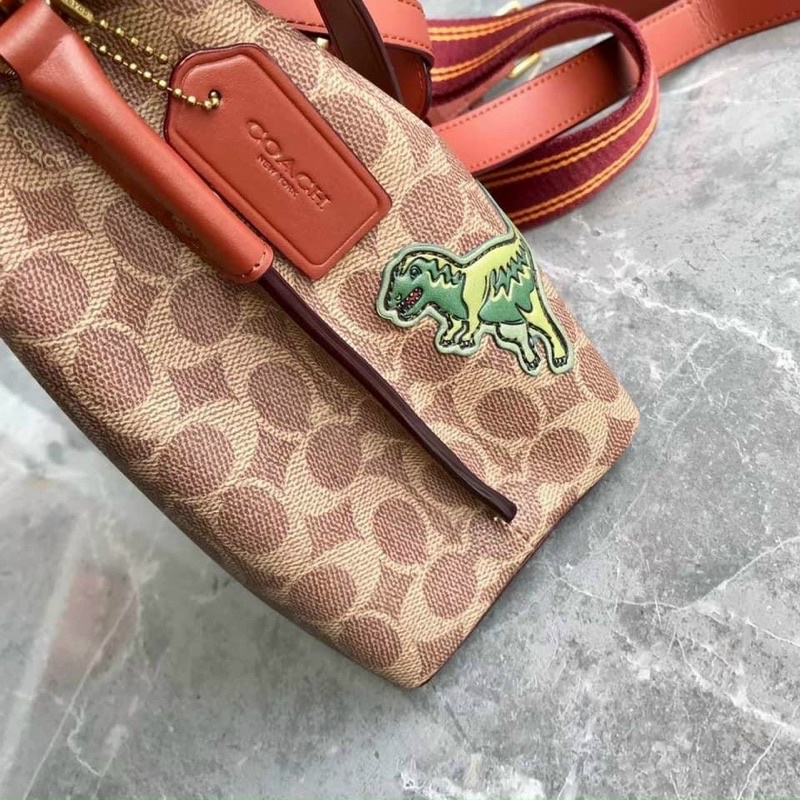 Túi Coach Willow Bucket hoạ tiết trê trung