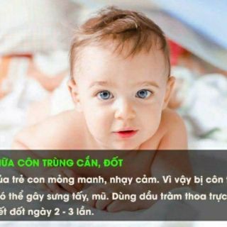 Dầu tràm Đan Viện Thiên An 100ml