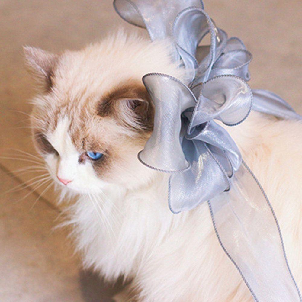 AUGUSTINA Vòng Cổ Lụa Dài Có Gắn Nơ Cho Thú Cưng