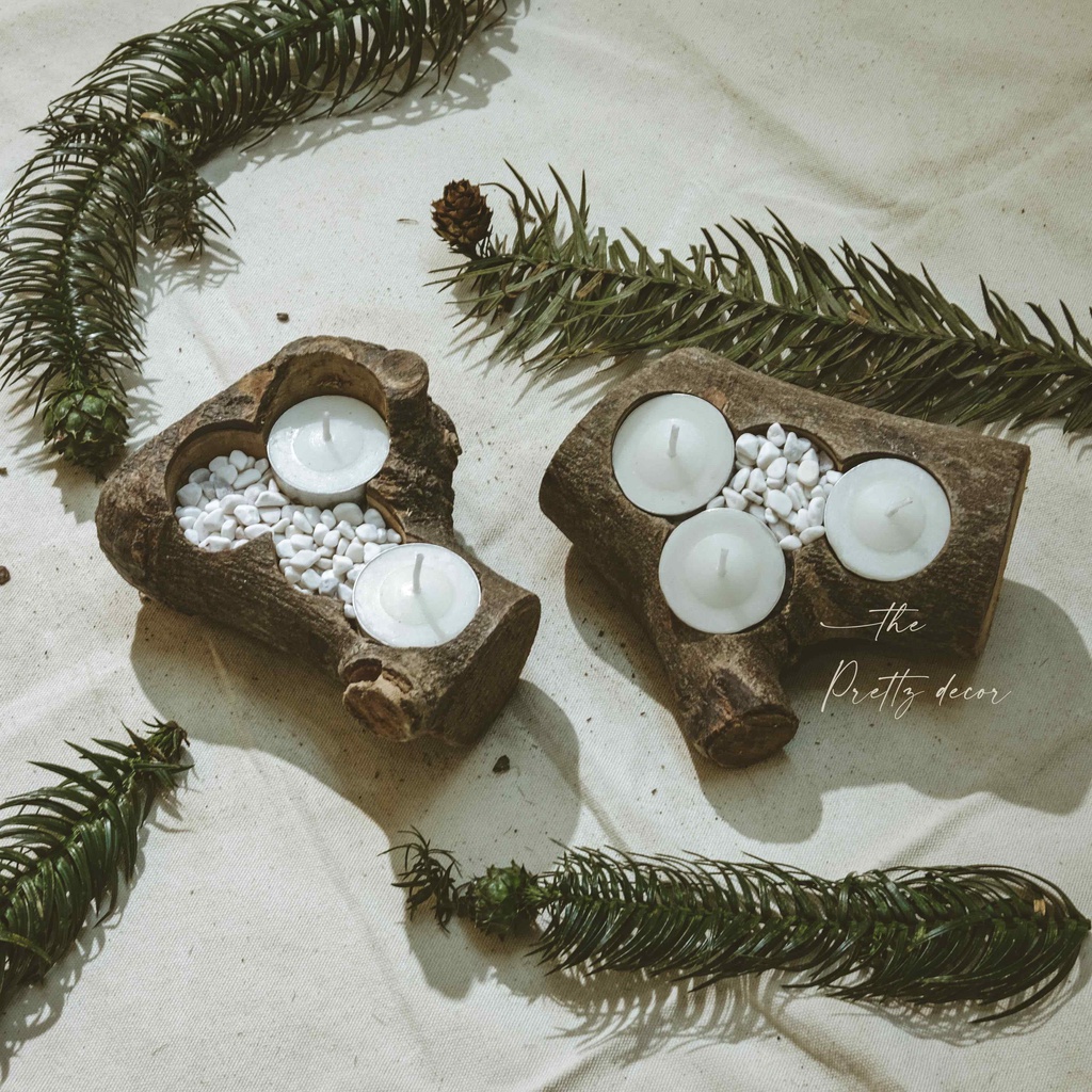 Chậu Khúc Gỗ Tự Nhiên Nằm Ngang Trồng Cây, Decor, Trang Trí Vintage