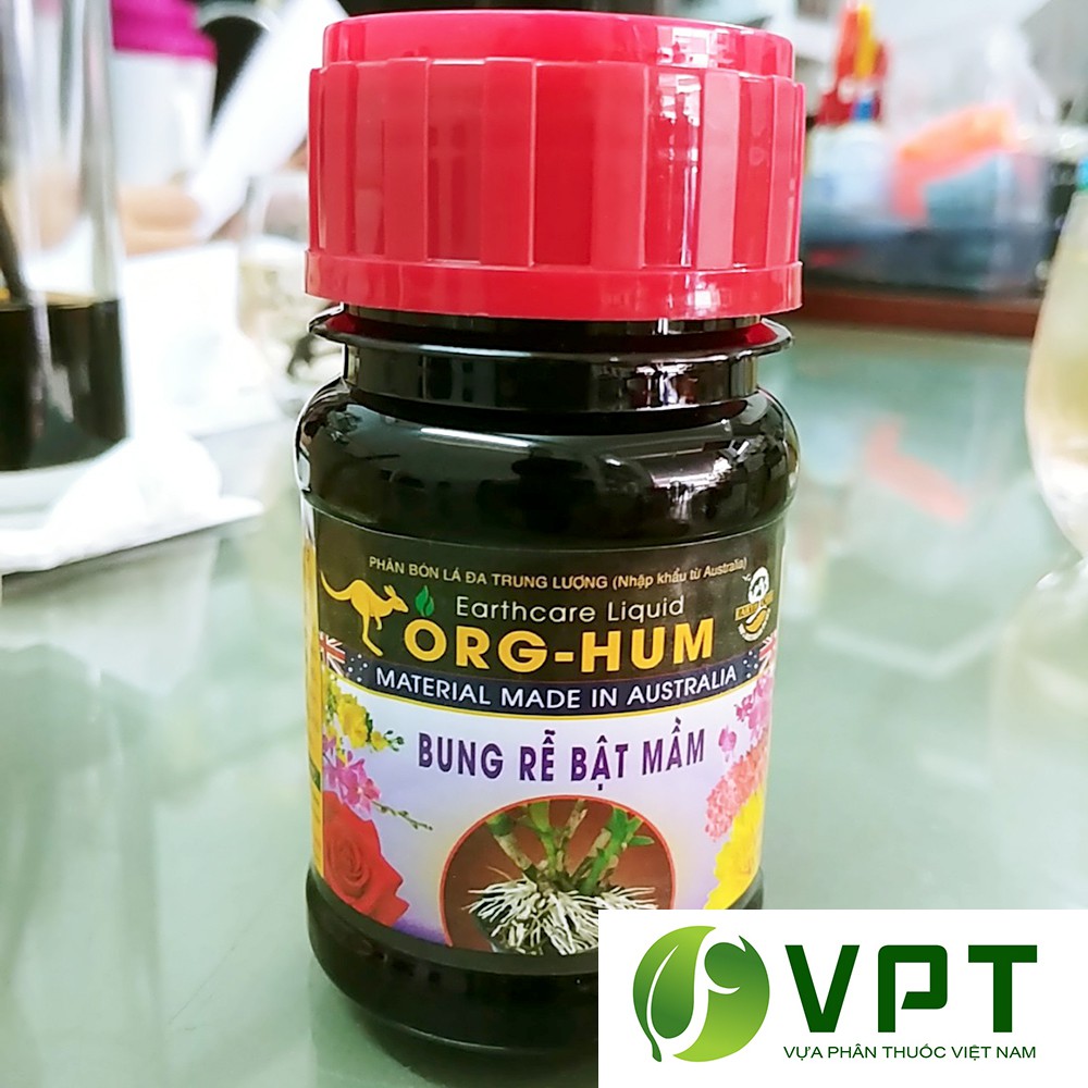 ORG HUM - Bung rễ, Bật mầm