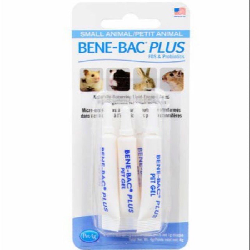 Hộp 4 tuýp - Men đường ruột Bene Bac Plus cho chó mèo