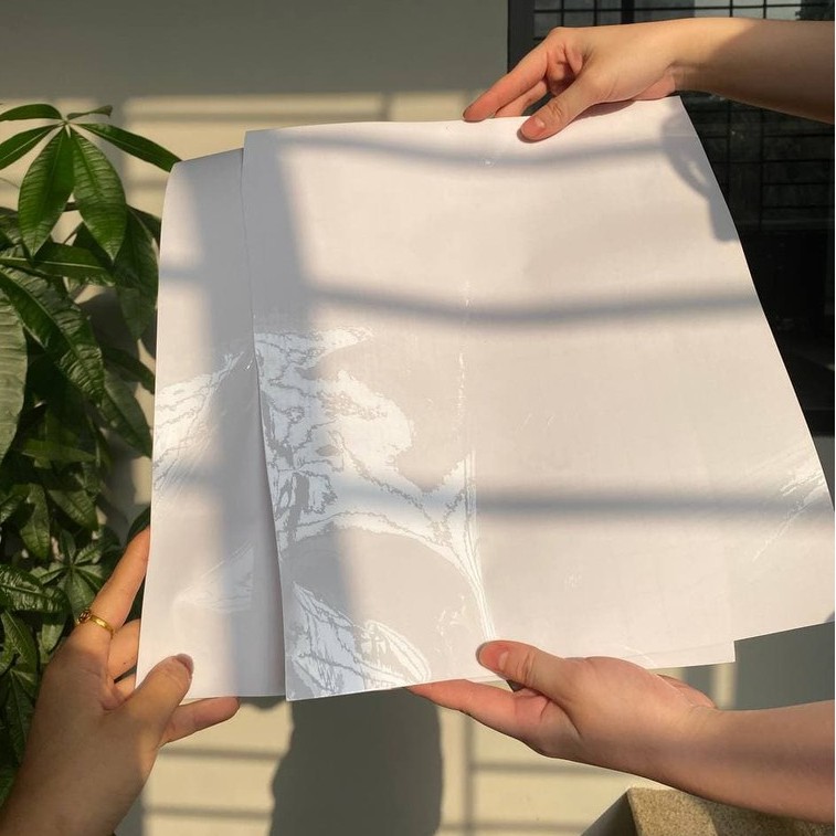 Decal dán cố định - D01 | BigBuy360 - bigbuy360.vn
