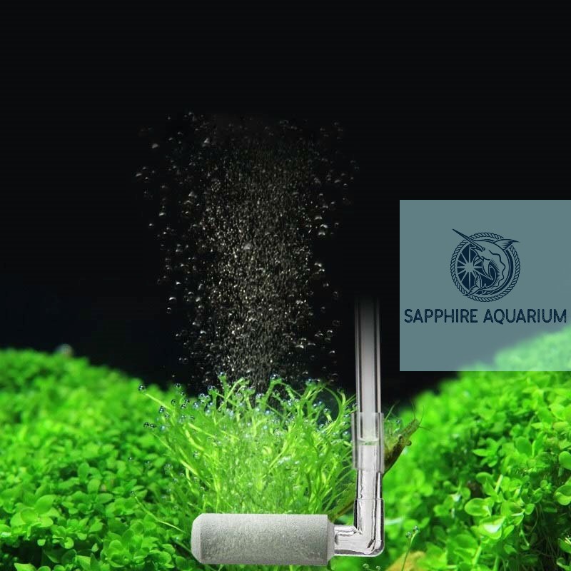 Sủi CO2 Thủy Sinh Siêu Mịn