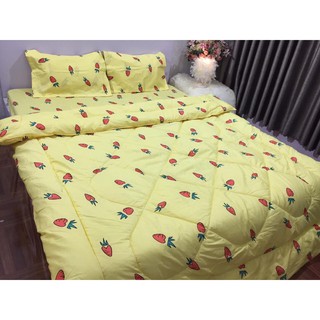 [CHĂN PHAO] Bộ Chăn Phao Ga Gối poly cotton [Siêu Nhẹ Siêu Ấm] [ Chăn phao + Ga chun + Vỏ gối nằm + Vỏ gối ôm ]