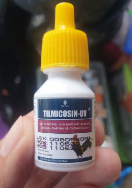 Tilmicocin Uv Cho Gà Đá