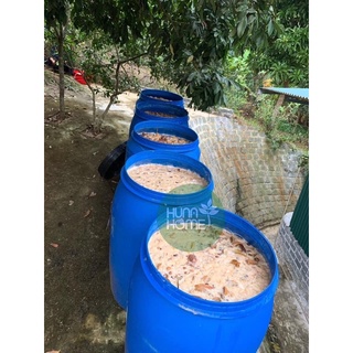 (Mua 1 tặng 1 ) Enzym bồ hòn Hunahome 5 lít