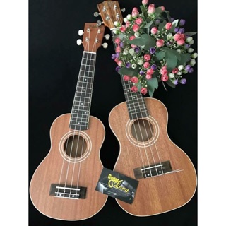 Đàn ukulele soprano VT-550