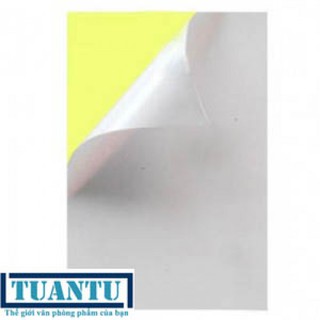 Decal A4 đế vàng (giấy trơn)