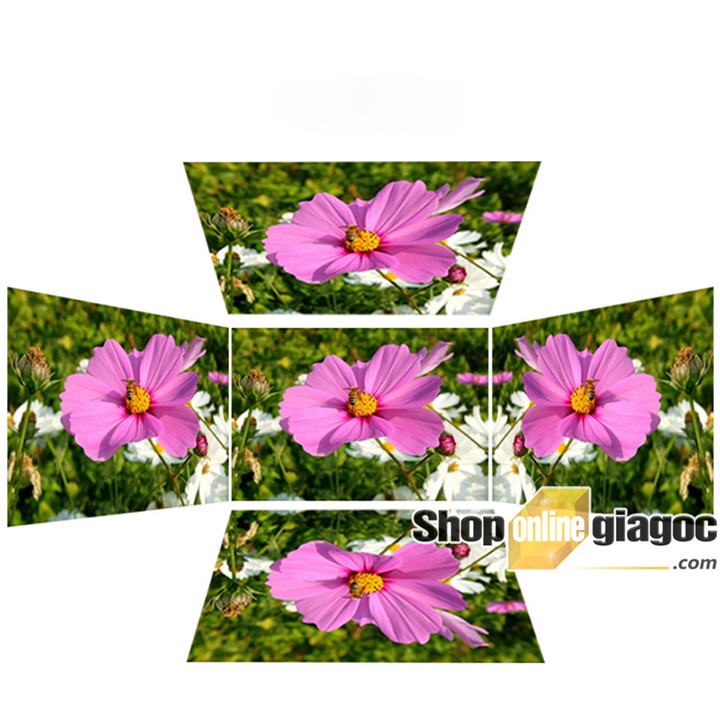 Màn Hình LCD Phát Nhạc Mp5 10 Inch 1280x800P HD Cổng VGA AV HDMI USB | BigBuy360 - bigbuy360.vn