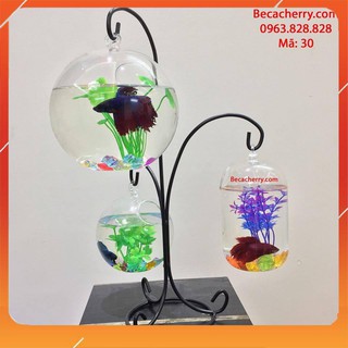 [ MẪU MỚI ] Bể cá mini tam trụ 30  ( Tặng kèm combo phụ kiện trang trí )