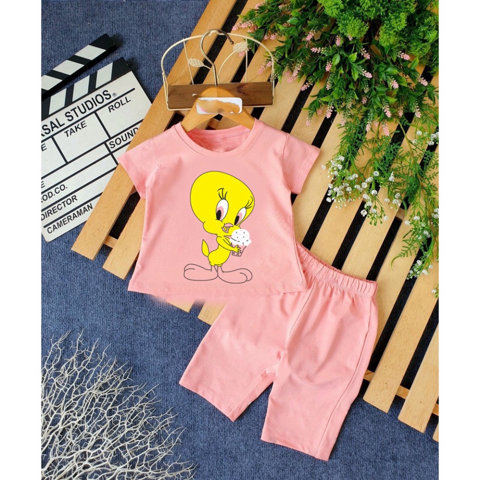 ( Khuyến mãi ) Combo 6 Bộ bé gái hình con vịt màu vàng ôm chậu hoa cho bé từ 6-28kg .BDBG53. .