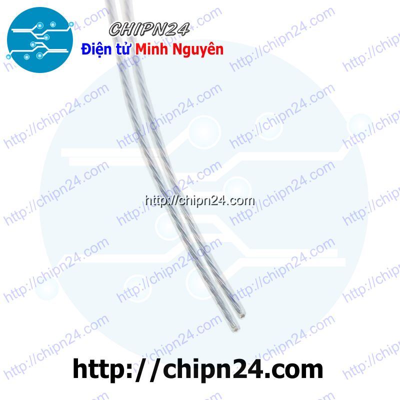 [1 CÁI] (E56) Dây Đo Nhiệt Độ Cảm biến WZP PT100, ống đo kích thước 4*30mm, dây dài 50cm