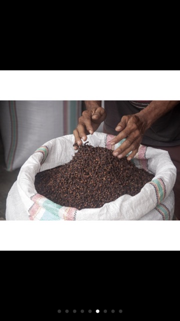 100GAM NỤ ĐINH HƯƠNG TÂY BẮC GIA VỊ THƠM NGON - HÀNG CÔNG TY THẢO DƯỢC VIỆT