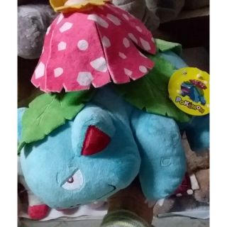 Gấu vịt đông