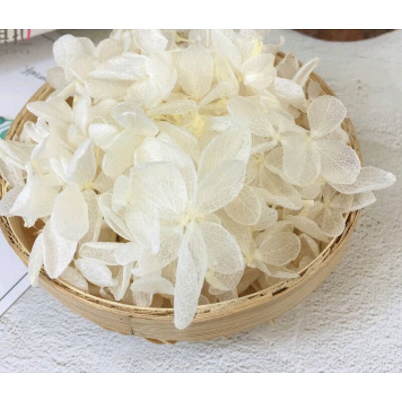 Hoa cẩm tú khô trang trí resin handmade, nail hoặc làm tranh