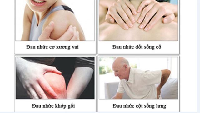 DẦU NÓNG BẠCH HỔ HOẠT LẠC CAO