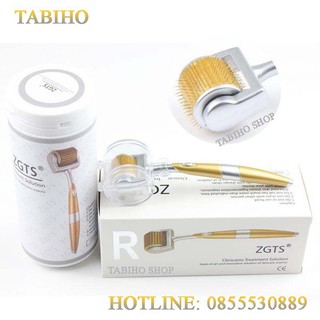 Cây lăn kim tại nhà  tabiho