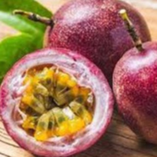 Hạt giống Chanh dây 0.2gr❤️FREESHIP XTRA❤️