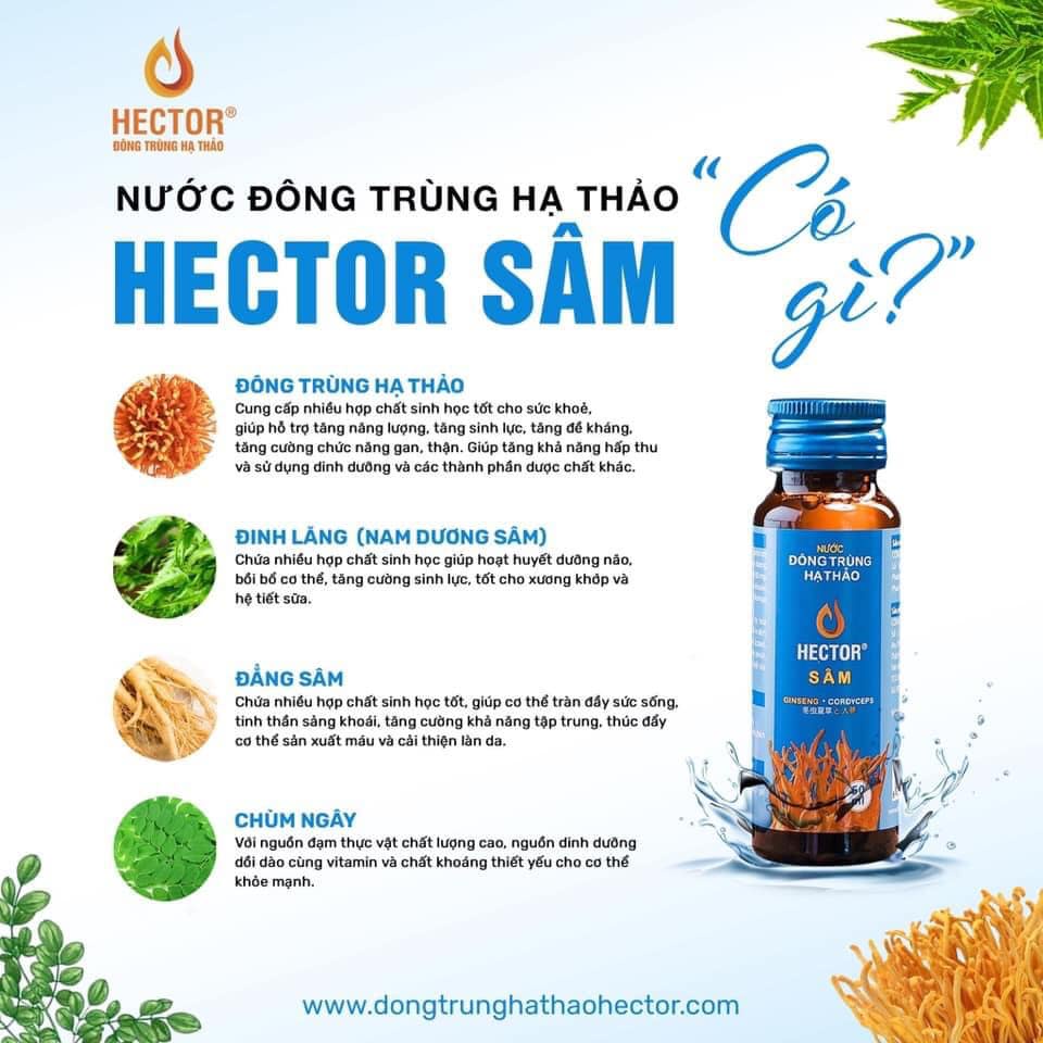 (Chai dùng thử) Nước Đông Trùng Hạ Thảo Hector Sâm Hộp 10 Chai Hector Cordyceps Ginseng