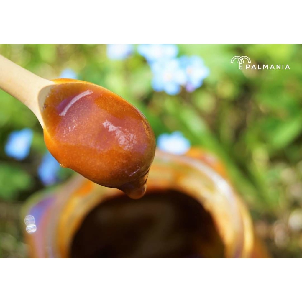 Mật thốt nốt Palmania 250g đặc sản An Giang tự nhiên, nguyên chất