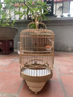 Lồng khuyên trúc “chợ”