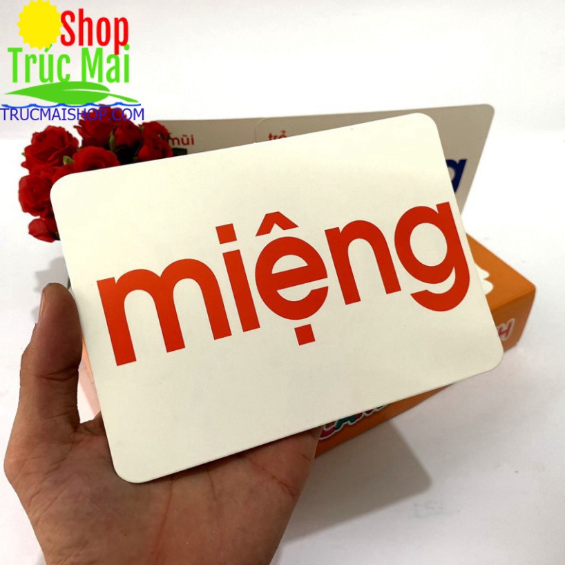 Bộ Thẻ Học Flashcard Cho Bé Học Từ Đơn Từ Ghép Song Ngữ Anh Việt Bibo