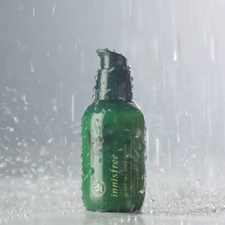 Serum Innisfree Green Tea Seed