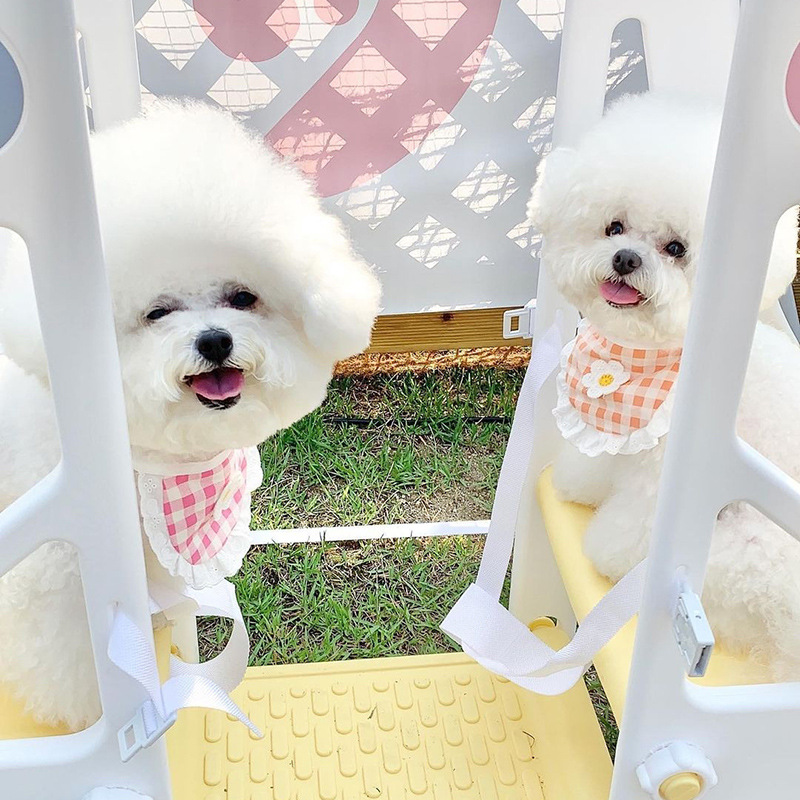 Yếm đeo cổ đáng yêu dành cho thú cưng