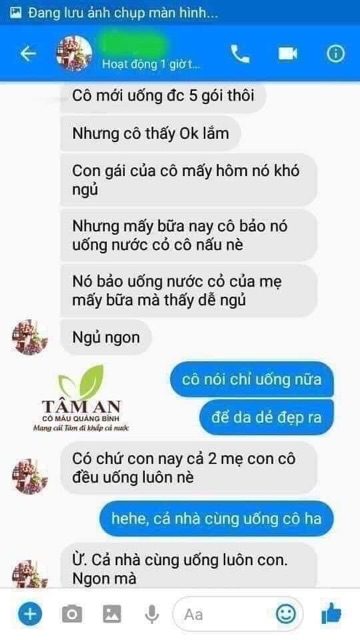 CỎ MÁU TÂM AN QUẢNG BÌNH - CỎ MÁU NÚI ĐÁ