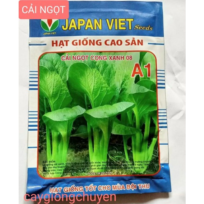 HẠT GIỐNG CẢI NGỌT CỌNG XANH GÓI 20GRAM