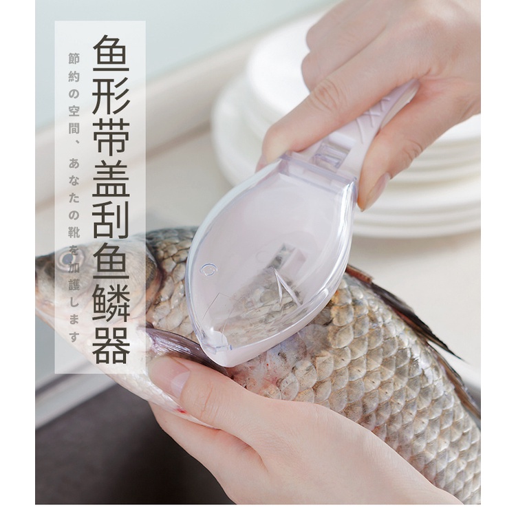 Dụng Cụ Cạo Vảy Cá Kèm Hộp Đựng Tiện Dụng Và Dễ Rửa