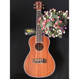 Đàn Ukulele Concert Giá Rẻ CB1