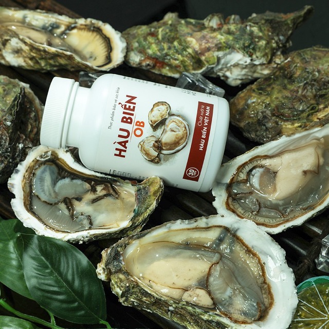 HÀU BIỂN OB (Cam kết chính hãng 100%) | BigBuy360 - bigbuy360.vn