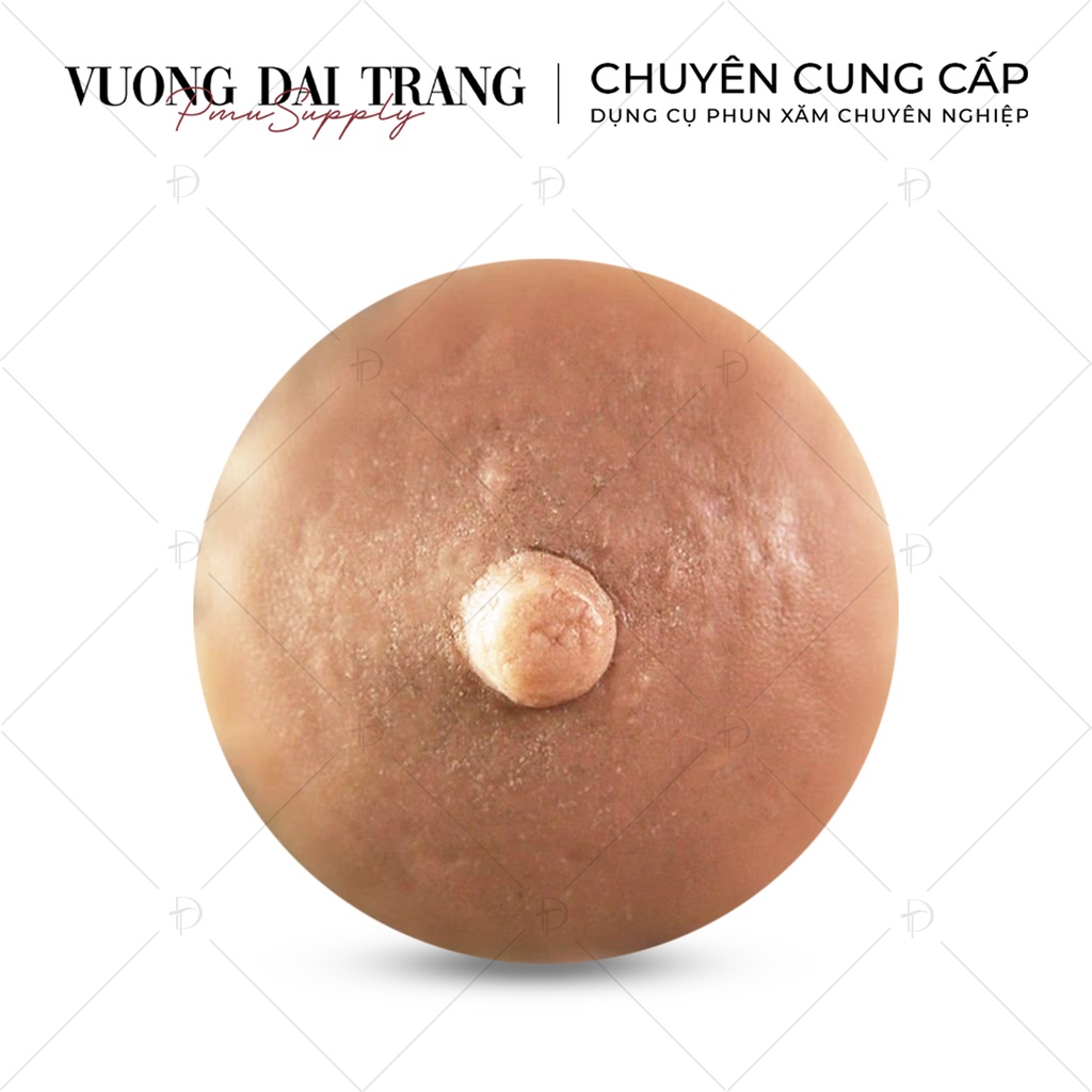 Da giả silicone 3D Areola tập phun xăm