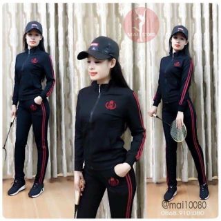 Combo xuân xuân quyên