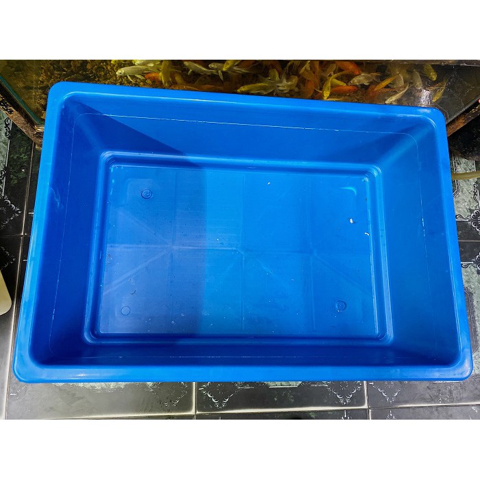 KỆ NHỰA 3 TẦNG NUÔI CÁ BETTA BẢY MÀU CAO 90CM 64X44X20CM
