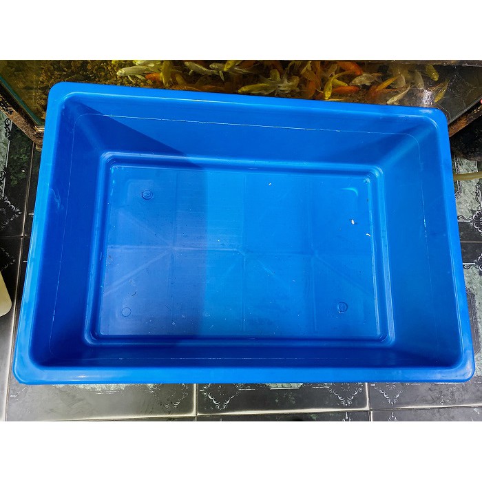 KỆ NHỰA 3 TẦNG NUÔI CÁ BETTA BẢY MÀU CAO 90CM 64X44X20CM